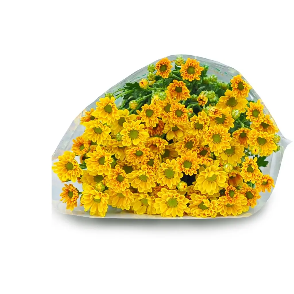 vn-11134207-7r98o-lvmnwbcrkl5db7.webp