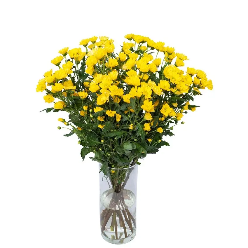 f8b92c62c54ae619662fa407716c931e.webp