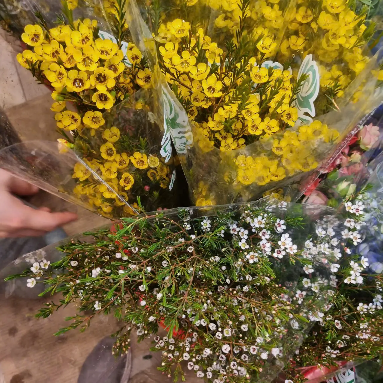 z6451279073970_f450b7fe0de1cd3f33419c322018feb1.webp