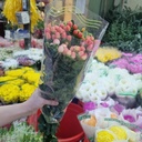 Chuỗi ngọc đỏ (10 cành)