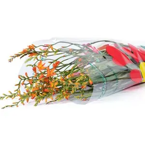 9659_don-lua-10-canh.webp