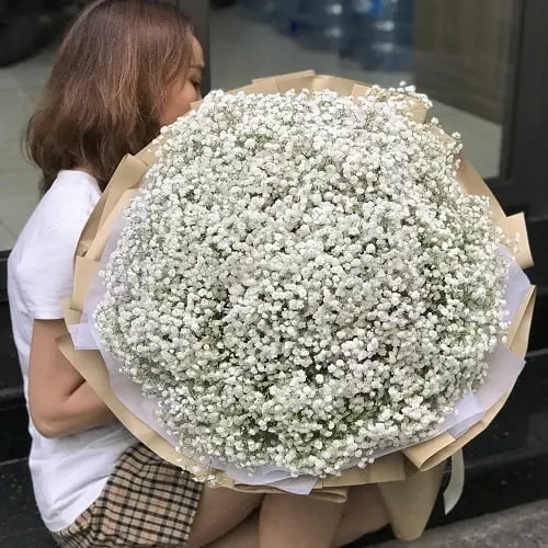 y_nghi_hoa_baby_trang-2.webp