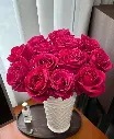 Pink Loy 1.webp