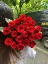 Hong Da lat - True love.webp