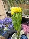 z6576648447426_01f4f506100ba5a449c81052f4ffef53.webp
