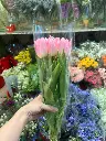 z6576501199079_f25acf388739cc89af8bf1375e6bb6c6.webp