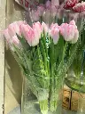 z6576648463093_b69118cb1ee90a81b4450ecc4d16d8c6.webp