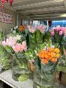 z6576501276041_0b7eaf2f4a0dfa8dced3fae3ae110d72.webp
