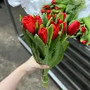 485960273_641112425481870_6067923457399607582_n.webp