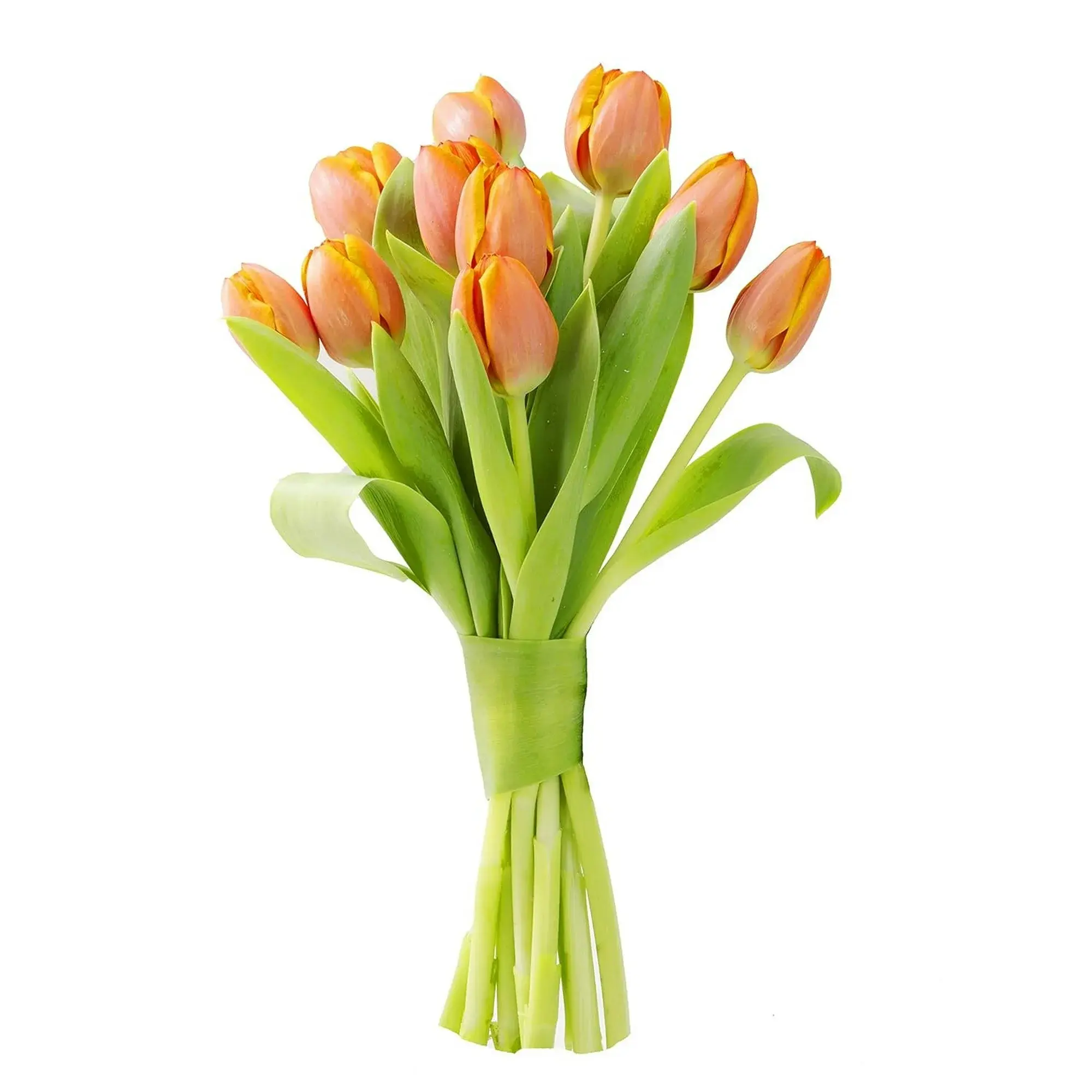 KaBloom-Fall-Collection-Bouquet-of-10-Orange-Tulips-without-vase-Next-Day-Delivery-Gift-of-Fresh-Flowers-for-Every-Occasion_6743ba41-94f0-4fba-b8d2-aaef8de05d2b.8161949e37c33deaabe9018e14349665.webp