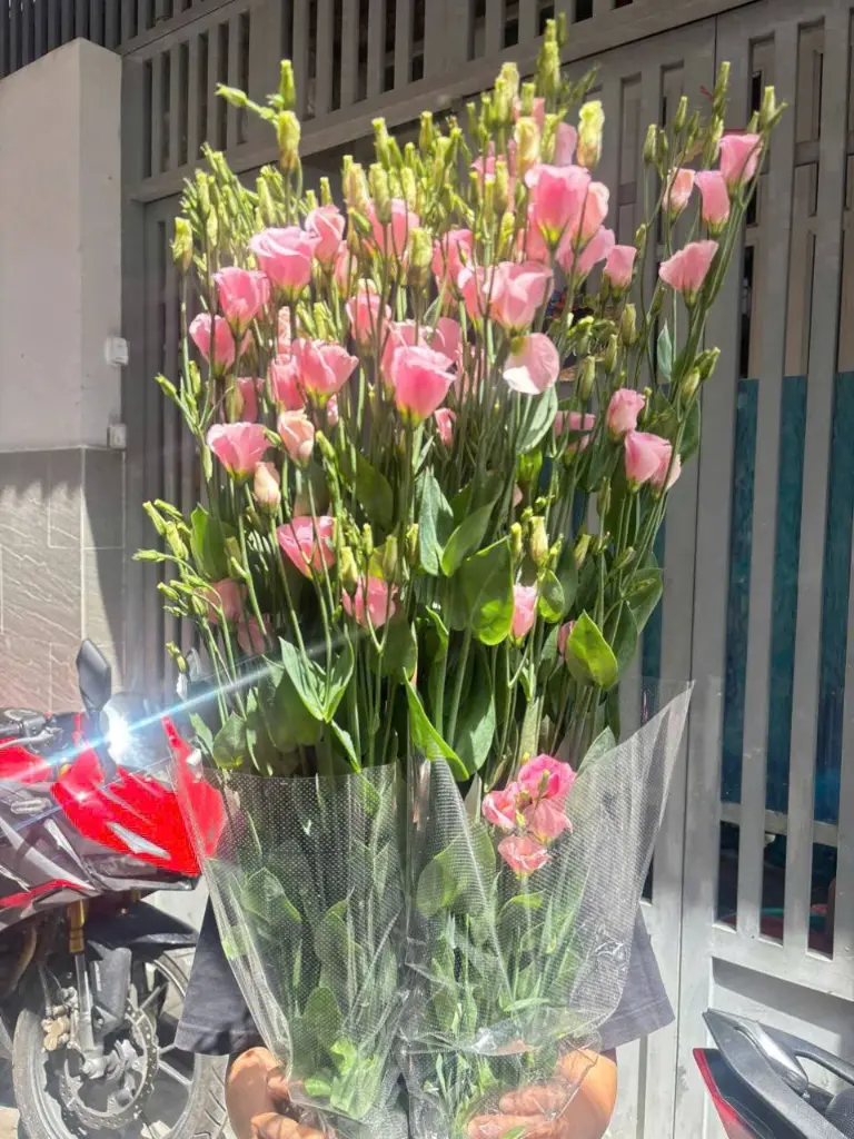 495678084_10232765809385429_8705174351739972073_n.webp