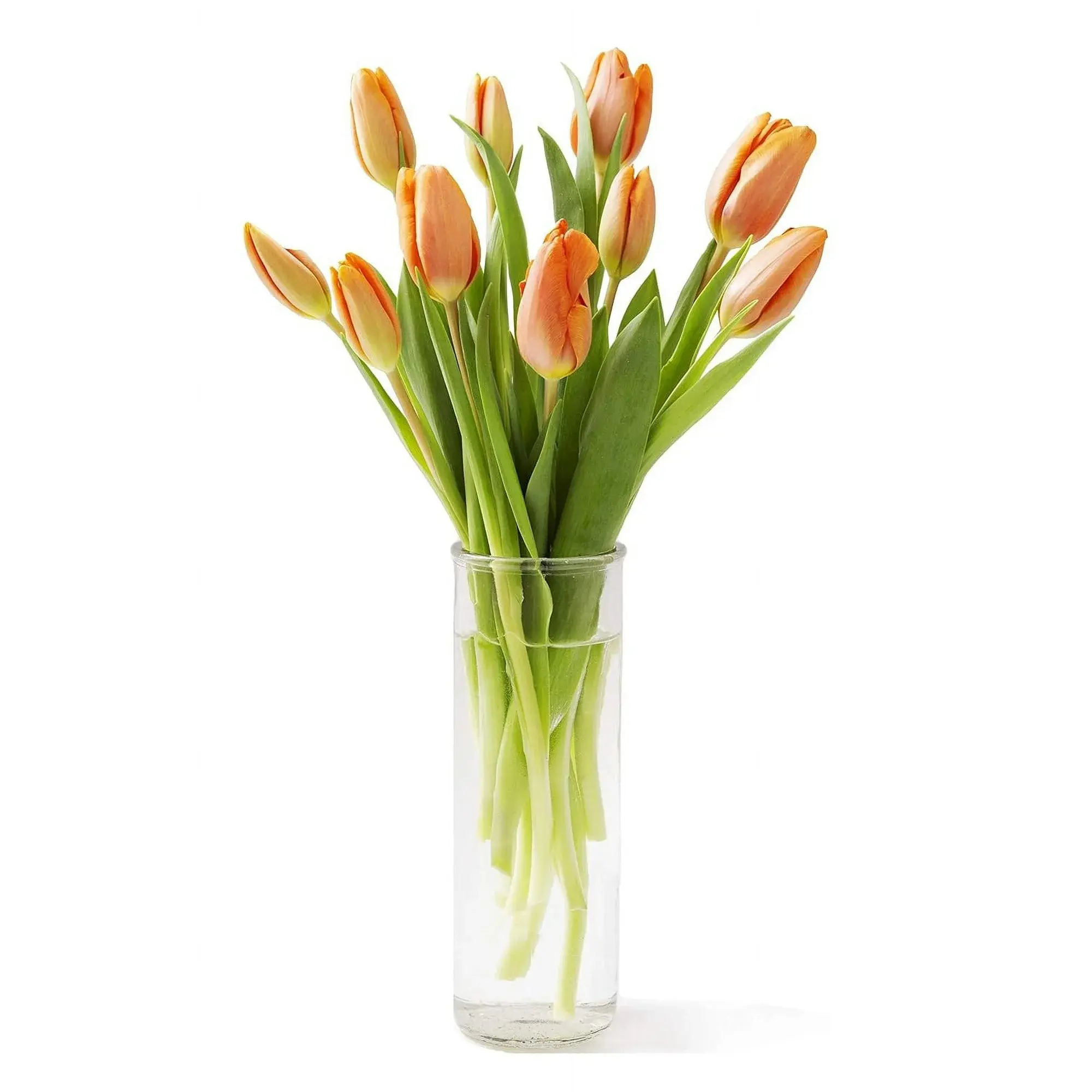 KaBloom-Fall-Collection-Bouquet-of-10-Orange-Tulips-in-a-Vase-Next-Day-Delivery-Gift-of-Fresh-Flowers-for-Every-Occasion_d882f397-6432-4156-ae66-ffe76aa85c19.a9e42a6e5dda72029195e31dfbf38565.webp