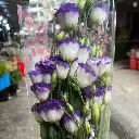 z6577457327197_408487ee95d80b2e7ff0c364dff07ac8.webp