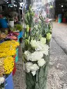 z6577457241376_ac2165a9b486229bbb6b9420be707b35.webp