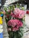 z6577457263638_4d6f4104ea4cc29dbe7f2790ce570980.webp