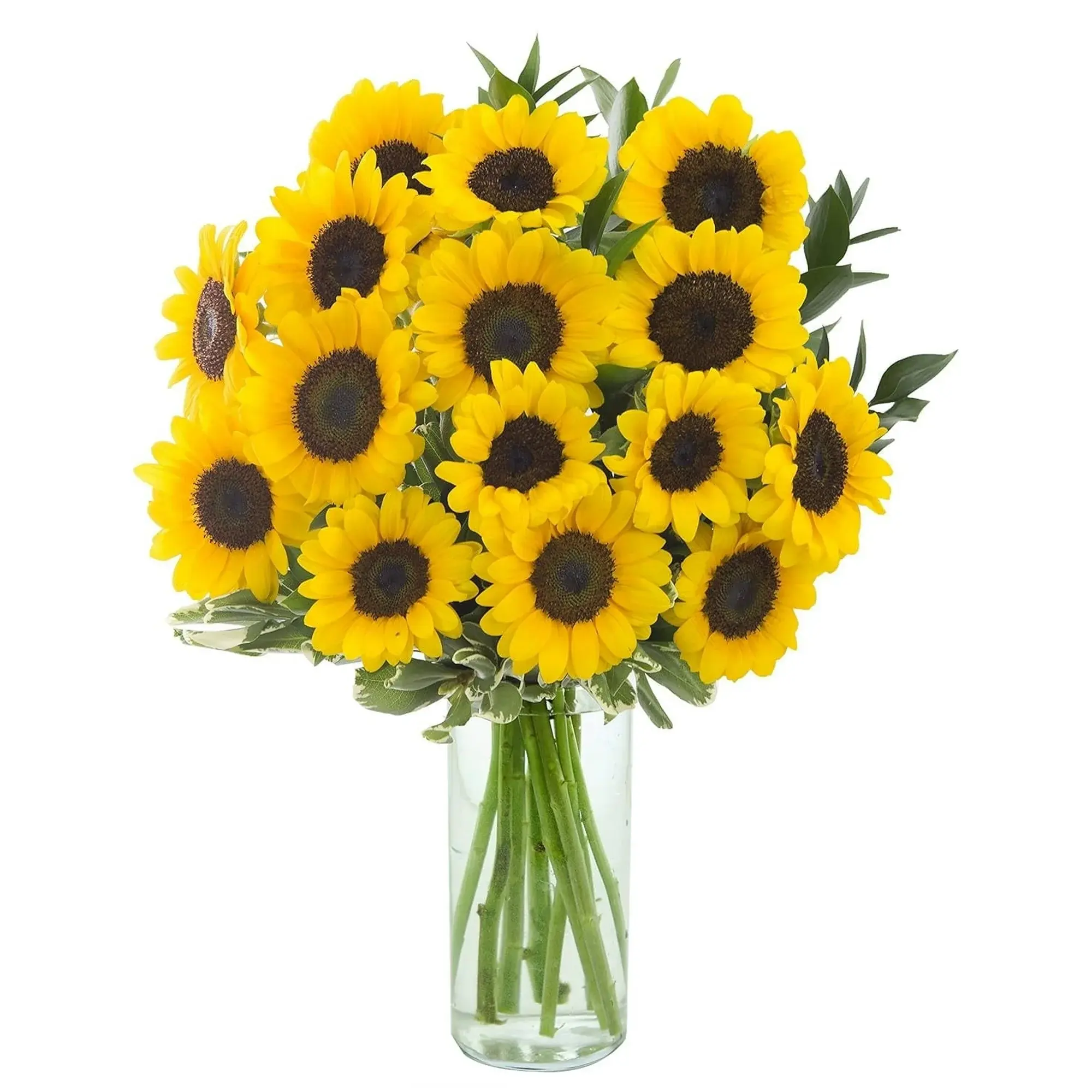 KaBloom-NEXT-DAY-DELIVERY-Fall-Collection-Apollo-Sunflower-Bouquet-15-Lush-Greens-Vase-Gift-Birthday-Anniversary-Valentine-Mother-s-Day-Fresh-Flowers_ceb9e8d8-400f-4abc-9ffb-77886563115c.f275fecbd4f19be2c00.webp