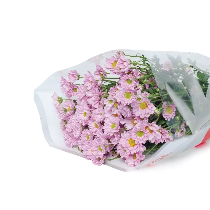 Cúc Rossi Hồng(5 cành )