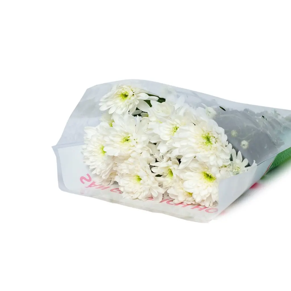 Cúc Chùm Trắng Đà Lạt (10 cành)