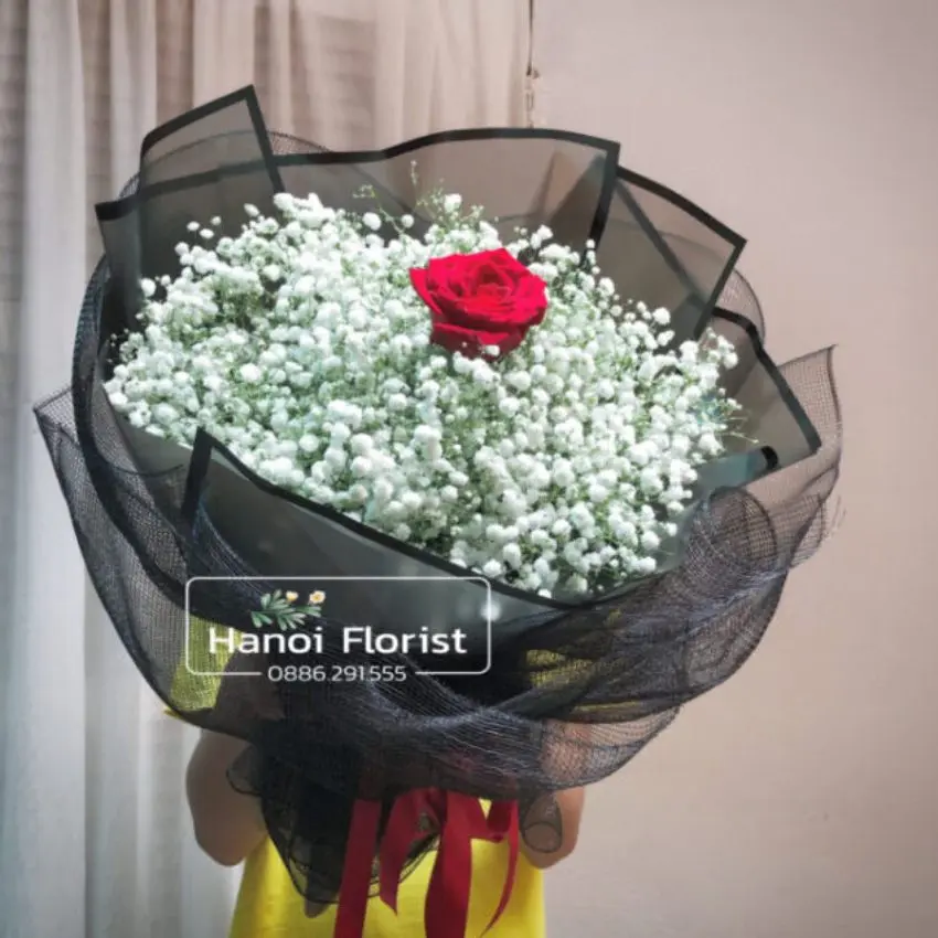 Hoa hồng Rose 12 - 30 bông