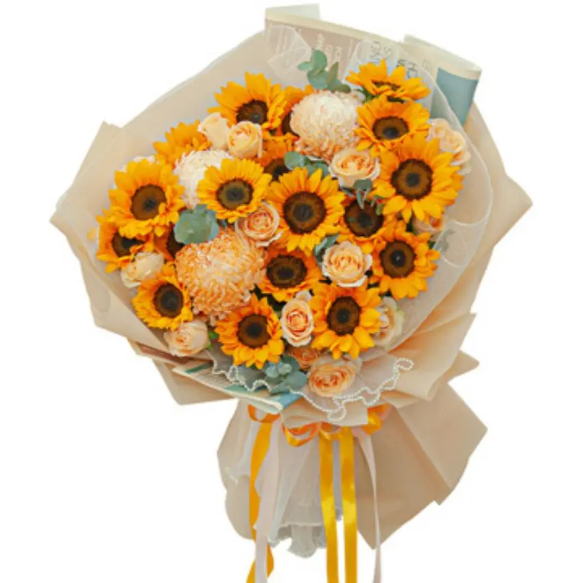 Hoa hướng dương - Sun Flower 1