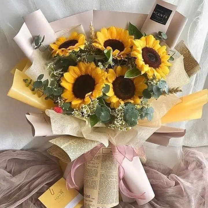 Hoa hướng dương - Sun Flower 3