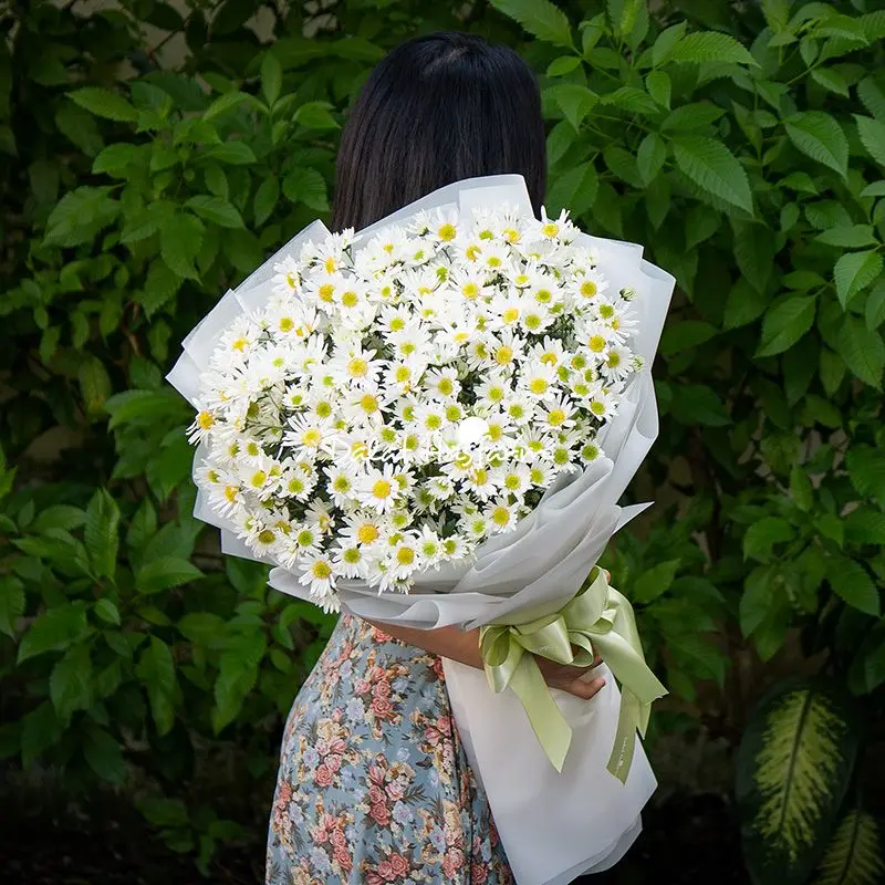 Bó Hoa Cúc Họa Mi Thuần Khiết 01