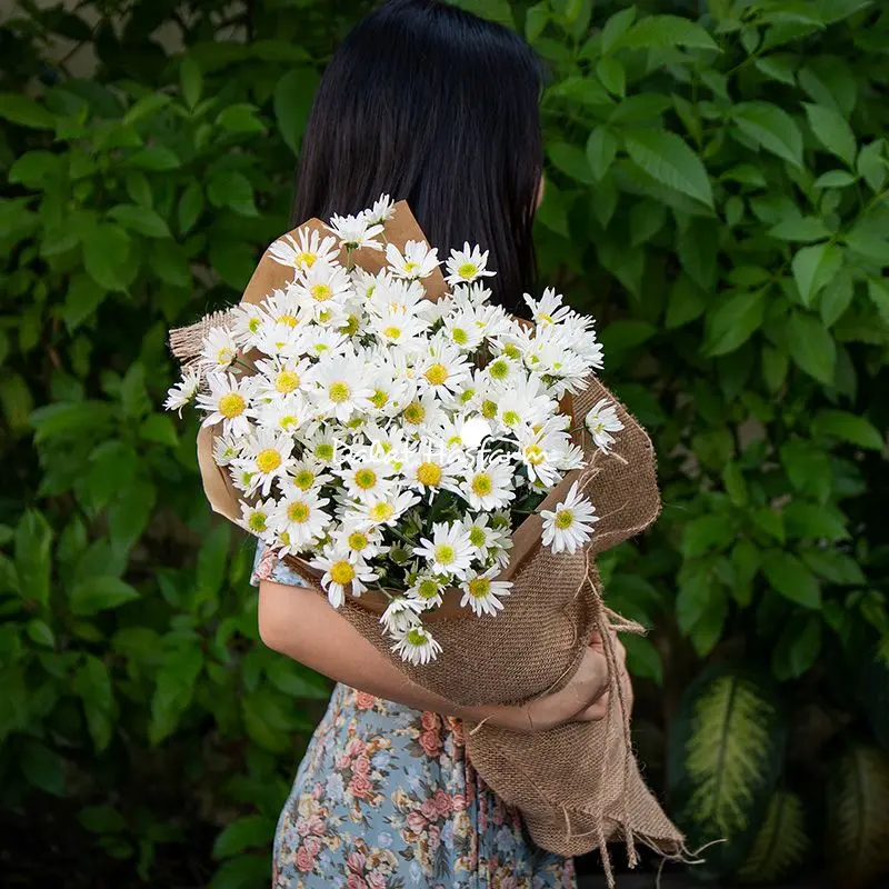 Bó Hoa Cúc Họa Mi Thuần Khiết 02