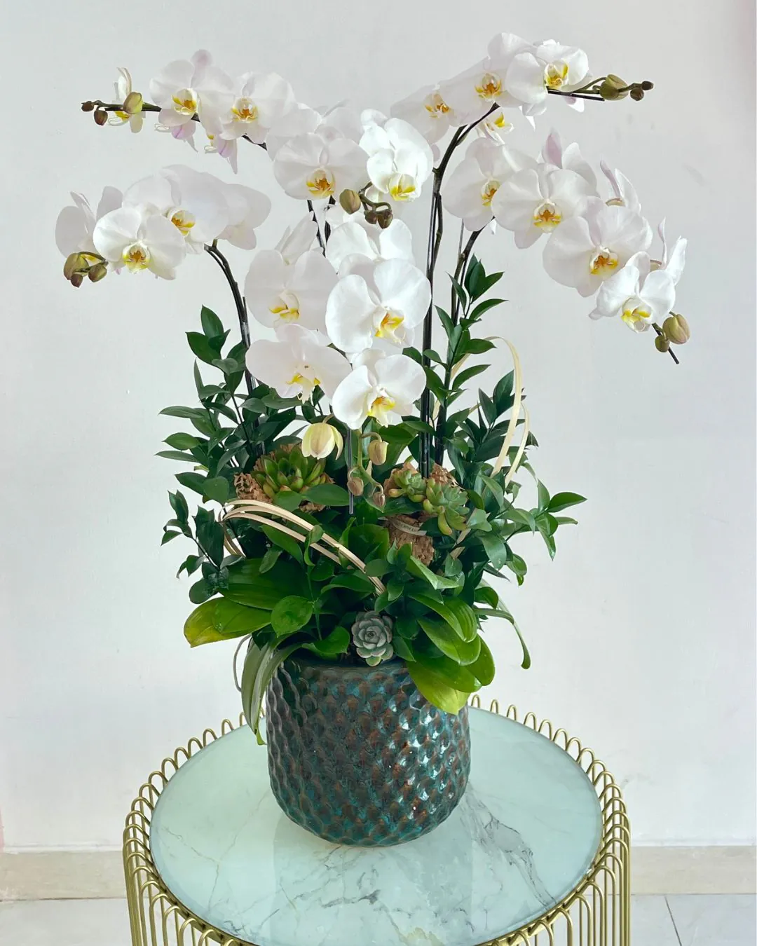 Hoa Lan hồ điệp - Mẫu 307