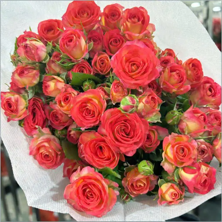 Hồng chùm đỏ thẫm (10 cành/bó)