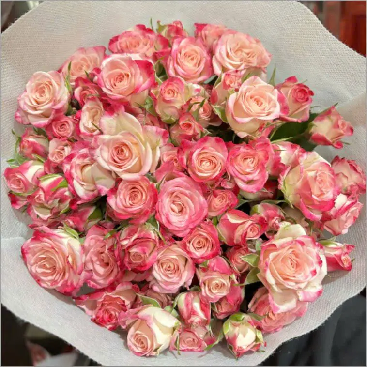 Hồng chùm Hồng nhạt (pastel pink) (10 cành/bó)