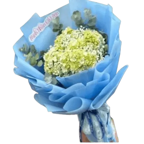 Đóa Hoa Cẩm Tú Cầu 01