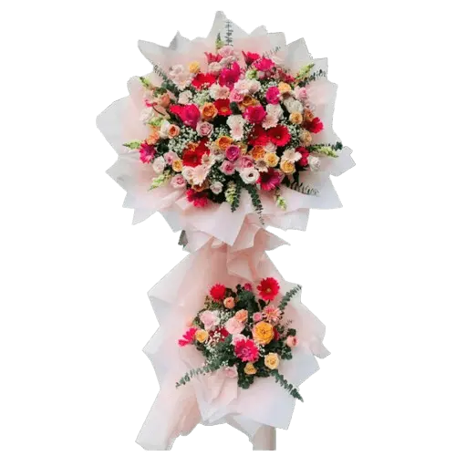 Hồng Phát Rạng Rỡ
