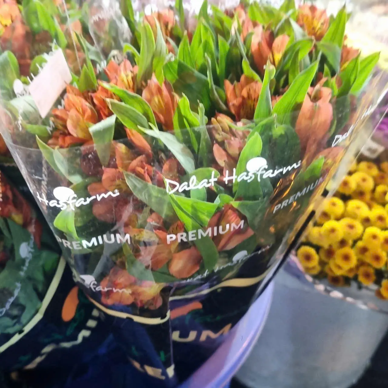 Hoa Lily Peru (Thủy tiên), (10 cành/bó)