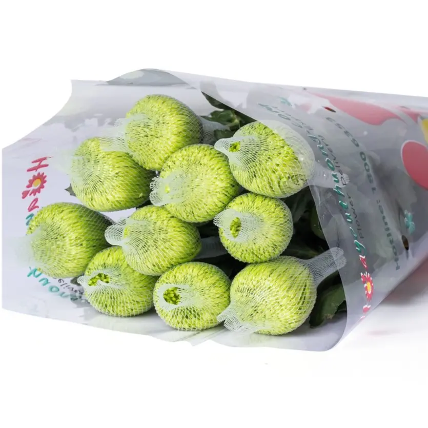 Cúc Lưới xanh (10 cành)