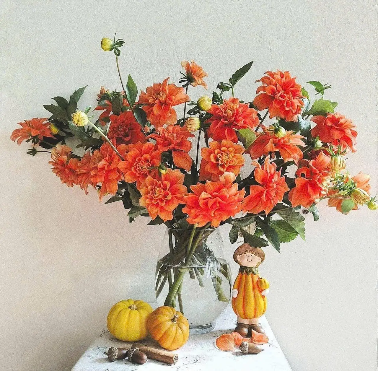 Thược dược cam (bó)