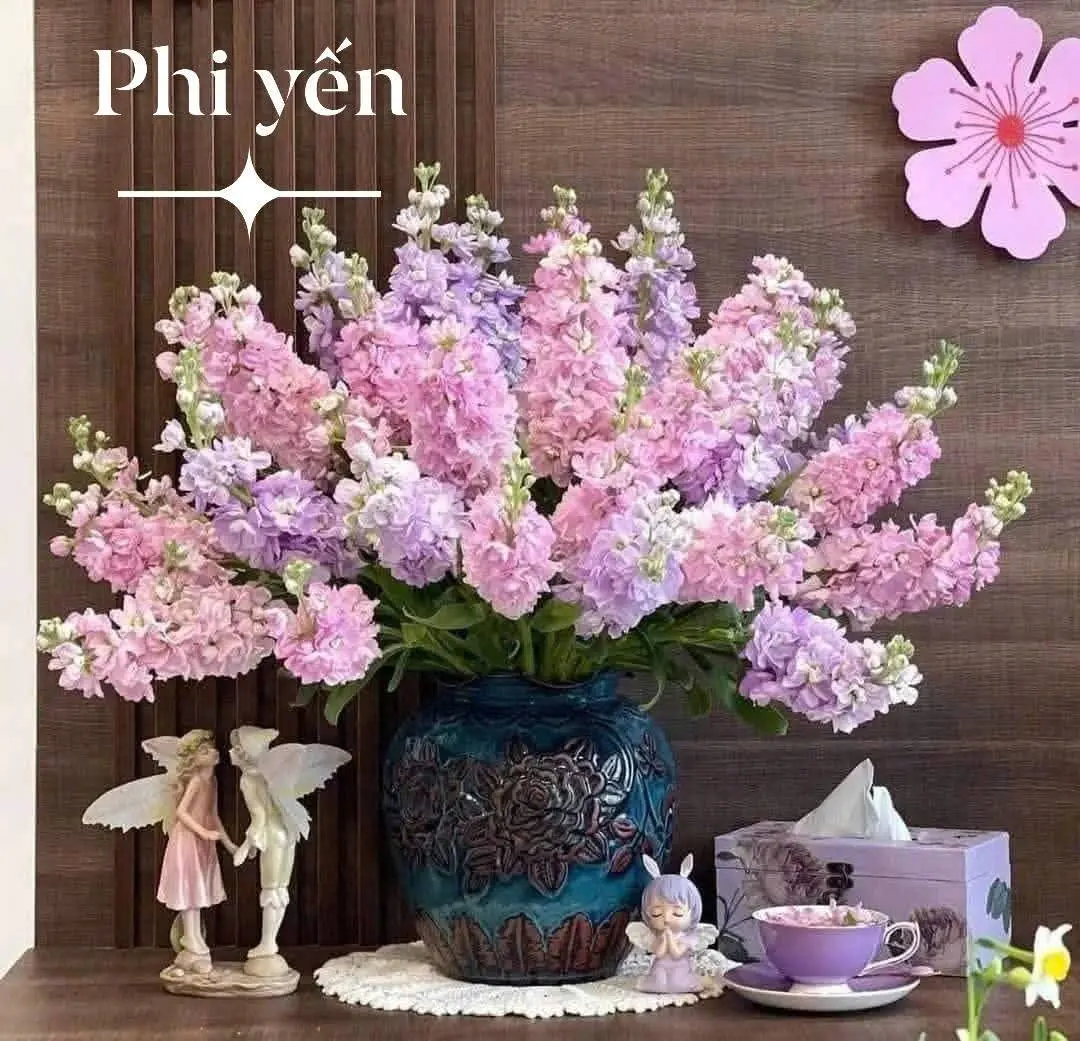 Phi yến hồng (10 cành)