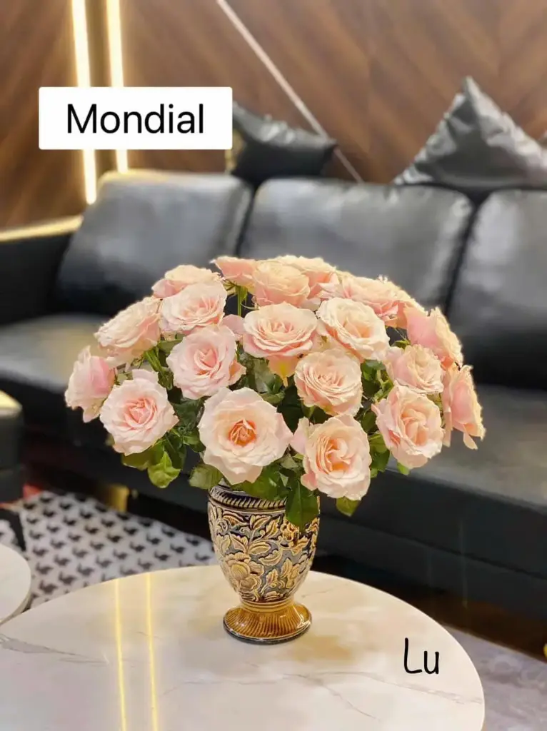 Hoa hồng Mondial (50 bông/bó) 