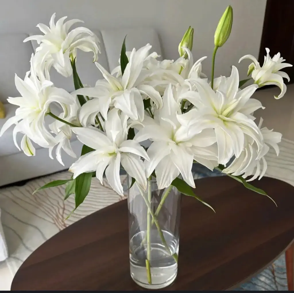 Hoa Ly kép, màu trắng (5 Cành, 2 bông/cành)