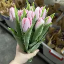 Tulip hồng phấn (10 bông/bó)