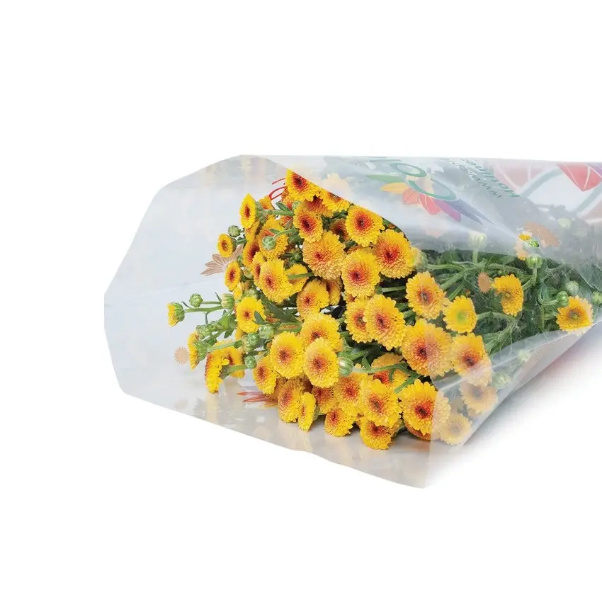 Cúc Calimero Vàng Nhụy Nâu Đà Lạt (10 cành)
