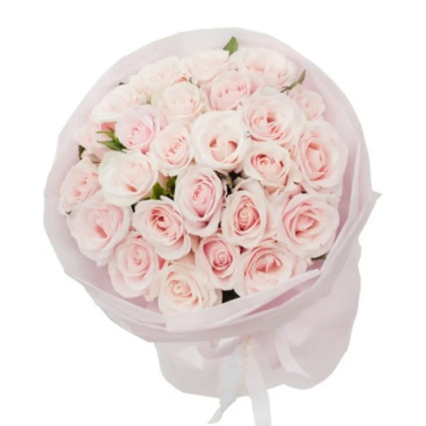 Hoa hồng Rose 4 - 30 bông 