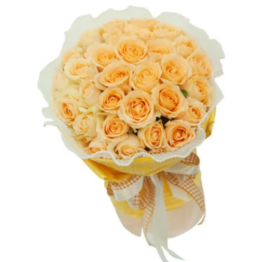 Hoa hồng Rose 6 - 30 bông