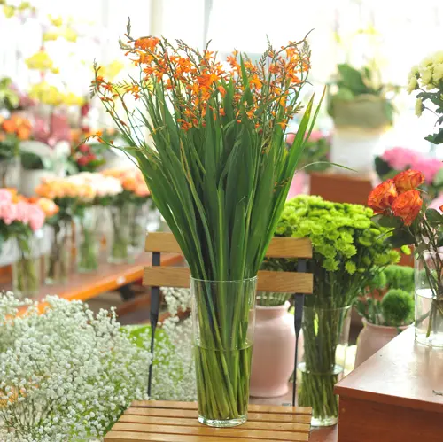Hoa cắm văn phòng - Mẫu 102