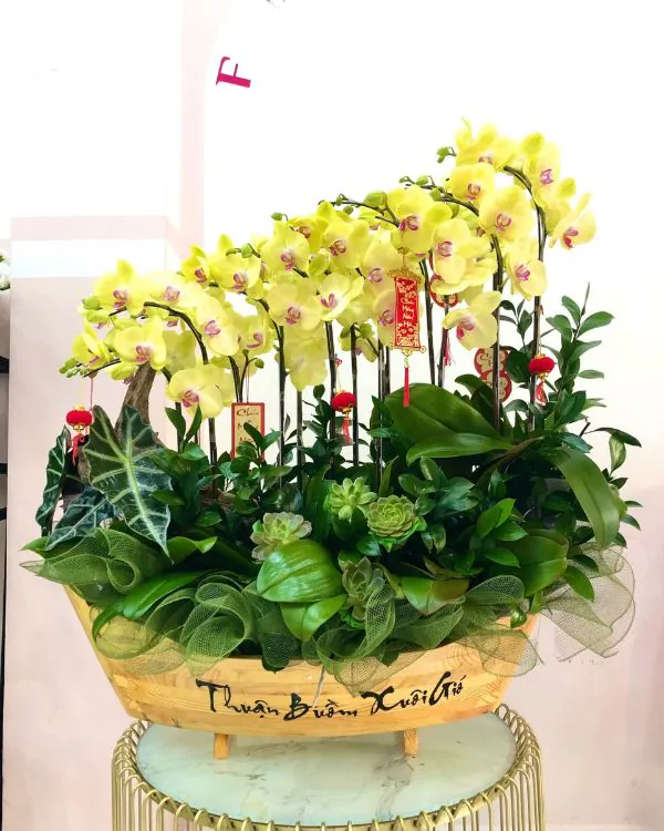 Hoa Lan hồ điệp - Mẫu 306