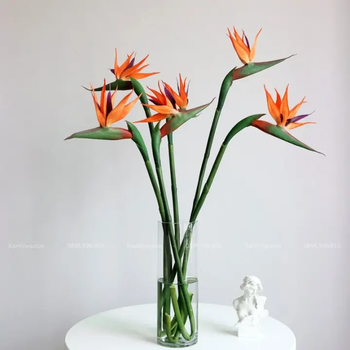 Hoa Thiên điểu (5 bông/bó)