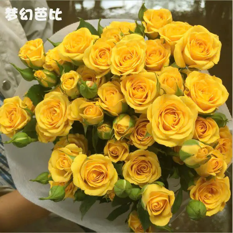 Hồng chùm vàng (10 cành/bó)