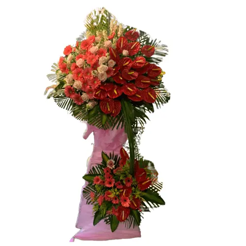 Khai Vận Hồng Phát 01
