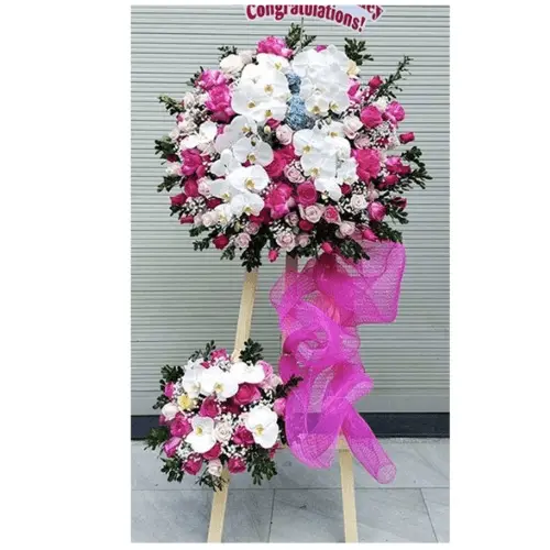Khai Vận Hồng Phát 04