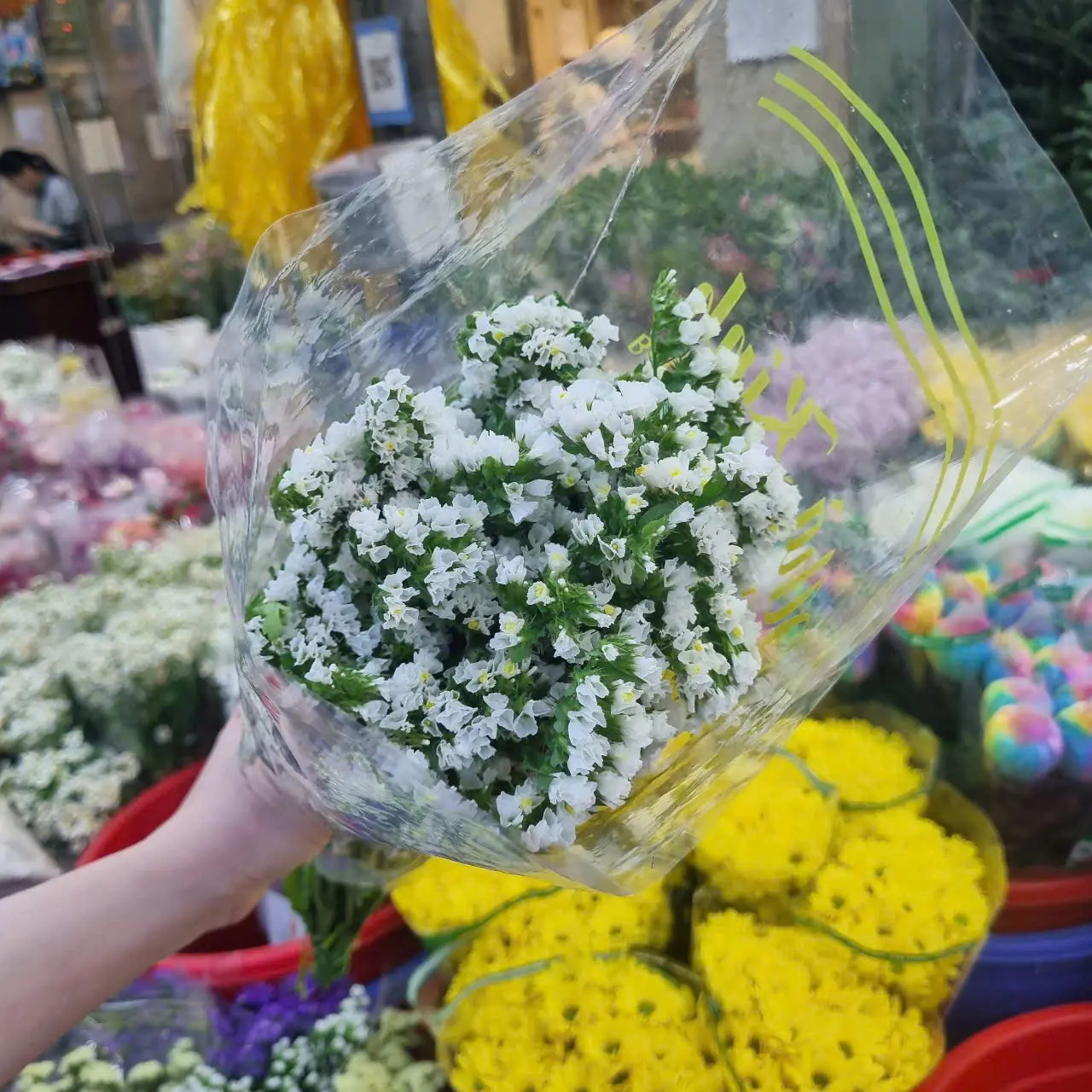 Salem trắng (5 cành/bó)
