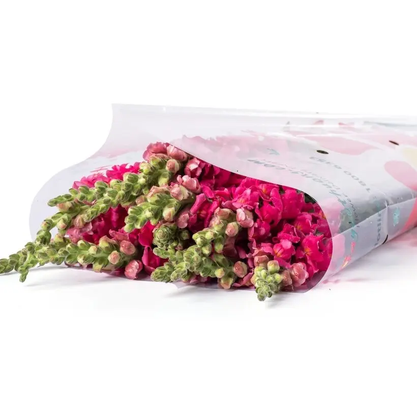 Hoa mõm sói hồng đậm (10 cành/bó)
